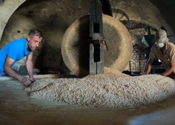 السوق السورية تبتلع مساعدات القمح: عودة طوابير الخبز