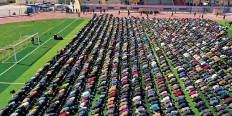 غذاء السوريين بين الصراعات الإقليمية وتخبط الخطط الزراعية