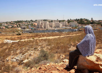 العمل العربي المشترك لمواجهة نظام الفصل العنصري