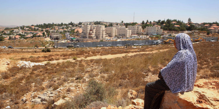 العمل العربي المشترك لمواجهة نظام الفصل العنصري