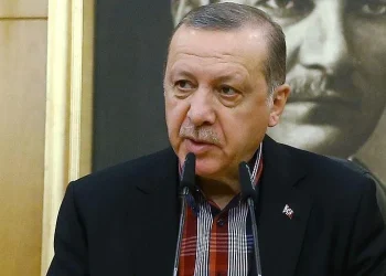 استراتيجية أردوغان