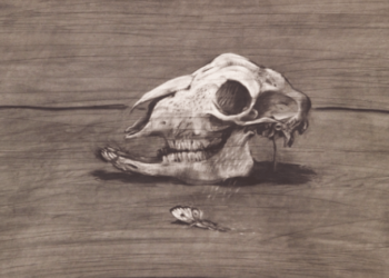 ساحة الإعدام