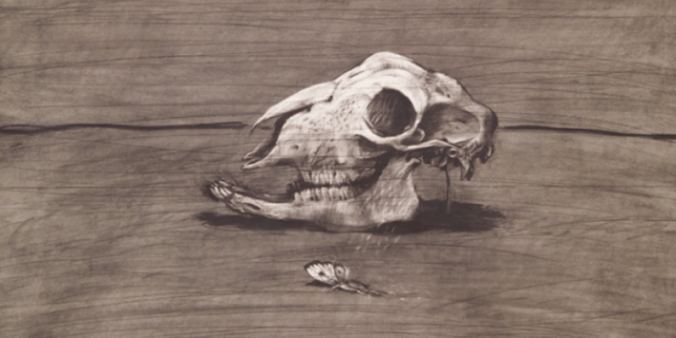 ساحة الإعدام