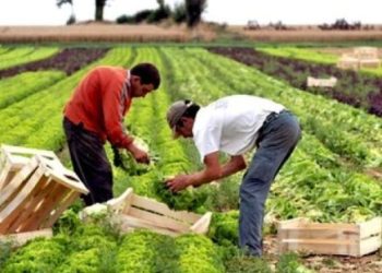 معادلة اللُّجوء