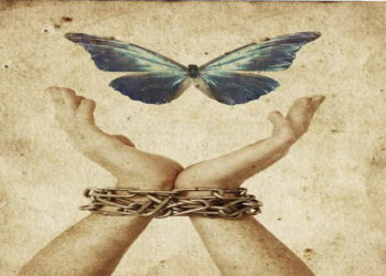 هيئوا ظهوركم