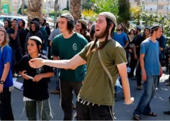 مجموعة “فتية التلال” الاستيطانية