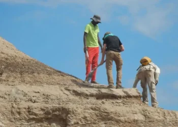 مبادئ للعلاقات الدولية في عصر الإنسان العاقل