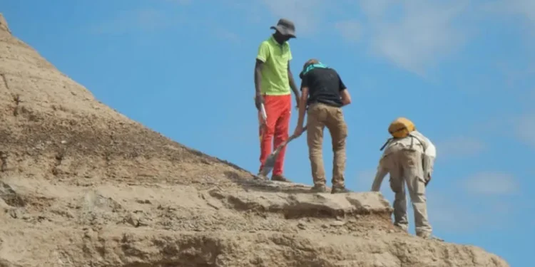 مبادئ للعلاقات الدولية في عصر الإنسان العاقل