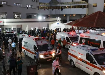 ورقة سياسة: بدائل لتوجيه سياسي بشأن السكان المدنيين في غزة‏