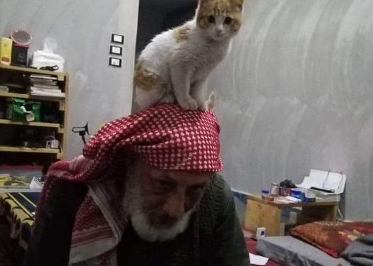 شيخ الوراقين مات