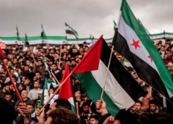 دروس غزة وحقائقها المضمخة بالدم