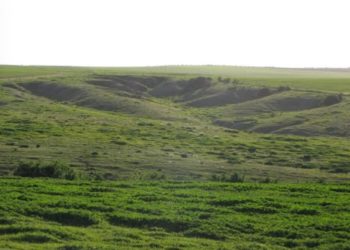 قرية ’’ هوج‘‘ الّتي أصبحت ’’ دوروت‘‘المستعمرة