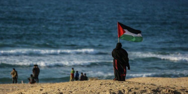 كنا دائمًا على الجزيرة الاصطناعية لكن دون ماء