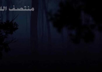 منتصف ليل ثورة*