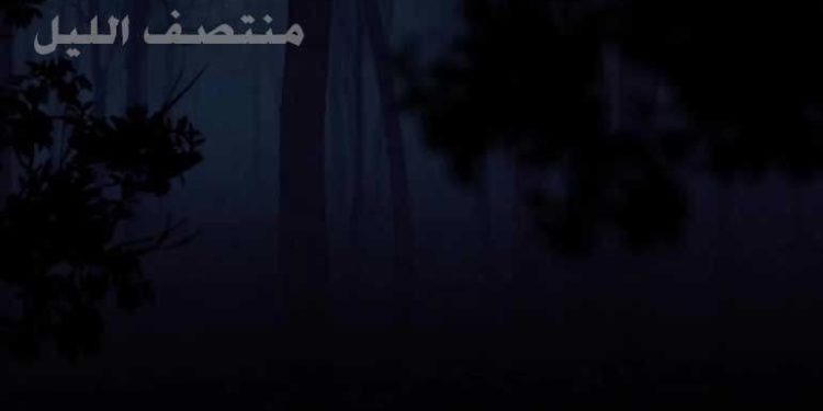 منتصف ليل ثورة*