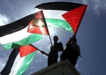 التضامن مع فلسطين وانهيار حل الدولتين