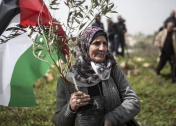 في ذكرى يوم الأرض الدفاع عن أرض غزة وصمود أهلها أولوية وطنية