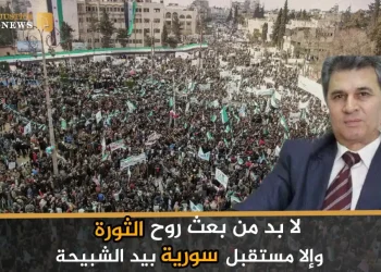 لا بد من بعث روح الثورة، وإلا مستقبل سورية بيد الشبيحة