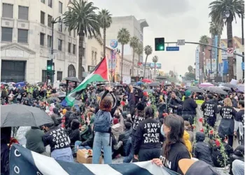 لماذا يكرهوننا: معاداة الصهيونية في المجتمع اليهودي‏