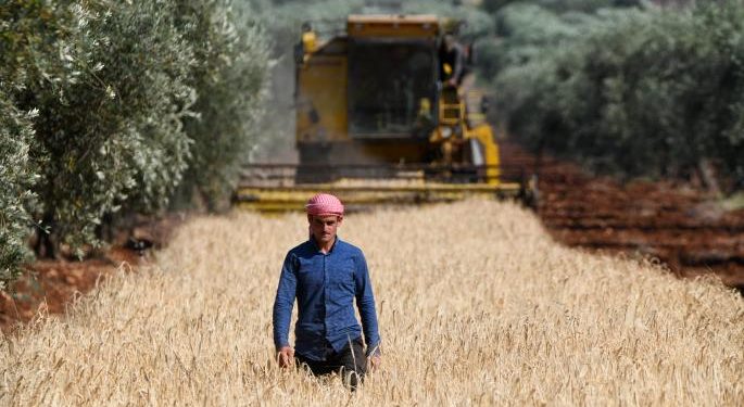 سباق على اقتناص قمح سورية عبر رفع الأسعار