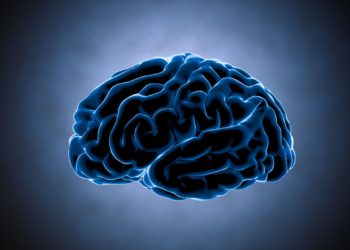 توهان العقل النخبوي الرقمي