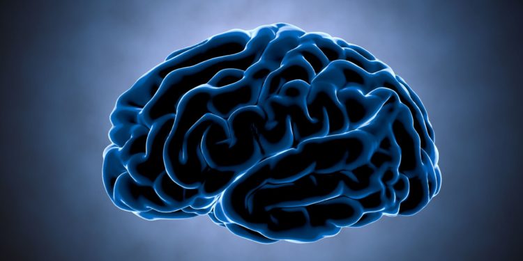 توهان العقل النخبوي الرقمي