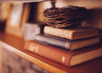  أزمة التجديد في الفكر الإسلامي