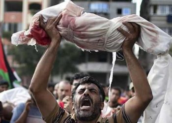 مجازر الاحتلال والحراك الدولي والاعتراف بدولة فلسطين