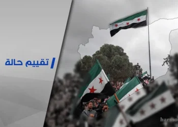 المبادرات الذاتية حيال القضية السورية: (وثيقة المناطق الثلاث) نموذجًا