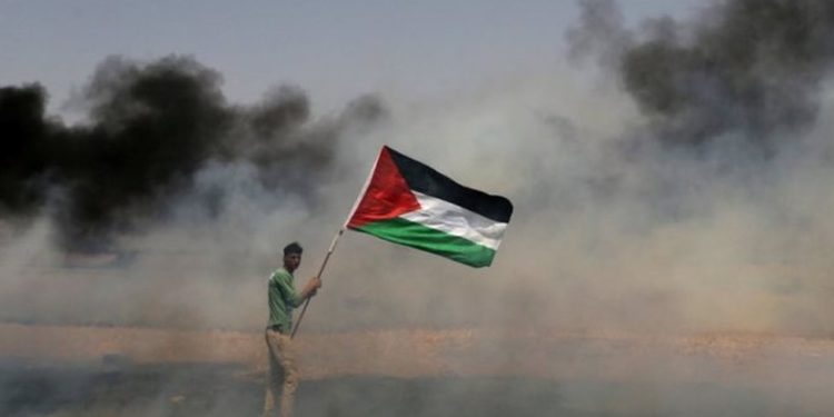 عداء العروبة المستحكم