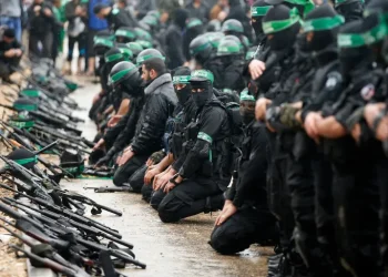  الشنقيطي يكتب: فقه الثغور المتعددة.. تحالفات الثورات ومساحاتها الرمادية