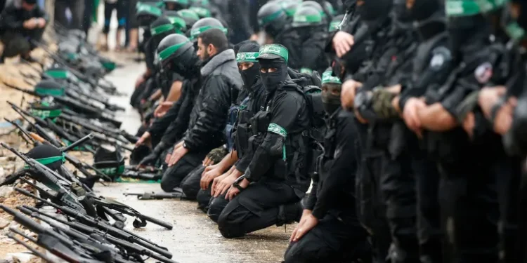  الشنقيطي يكتب: فقه الثغور المتعددة.. تحالفات الثورات ومساحاتها الرمادية