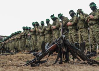  تعليقا على مقال:  “فقه الثغور المتعددة … تحالفات الثورات ومساحاتها الرمادية”