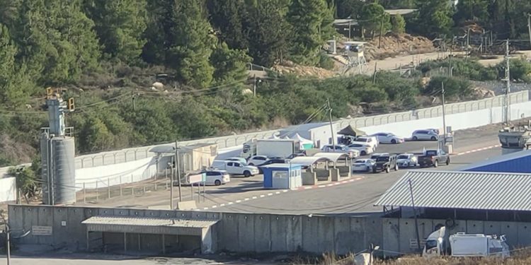 نادي الأسير الفلسطيني: تفاصيل جريمة إعدام الاحتلال أسرى من غزة فور الإفراج عنهم