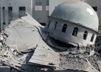 الموقف الدولي ومواجهة الكوارث الإنسانية في غزة