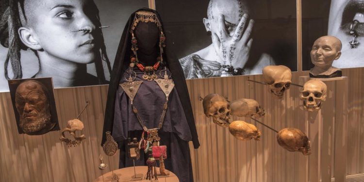 جامعو الجماجم وسارقو الجثامين… الجنس واحد