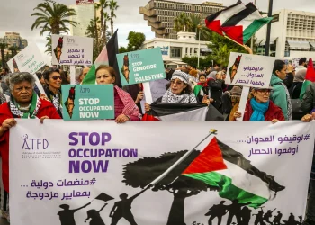 مقترحات لنبذ الجدل الفلسطيني السوري وتعزيز التعاون للدفاع عن القضيتين