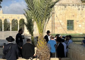 هل من عاقل يوقف خطورة الوضع؟