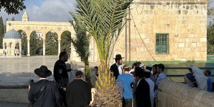 هل من عاقل يوقف خطورة الوضع؟