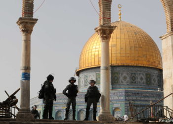 هل تنبأ الأدب بزوالهم