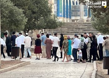 المستوطنون يقتحمون الأقصى في رابع أيام “ما يسمى عيد العرش”