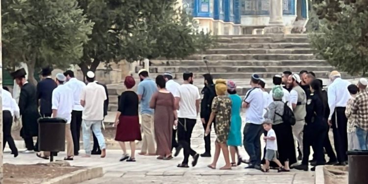 المستوطنون يقتحمون الأقصى في رابع أيام “ما يسمى عيد العرش”