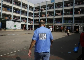 إنقاذ الأونروا من خطة اليمين الإسرائيلي