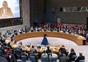  مجلس الأمن وأهمية وقف الإبادة الوحشية
