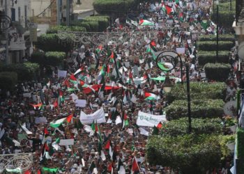 فلسطين تسأل والجزائر تجيب