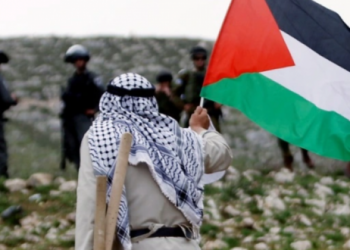  حرب الإبادة ووعد بلفور المشؤوم