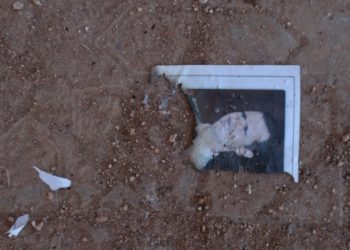 تفكيك عقدة الأسد أو نحرق البلد