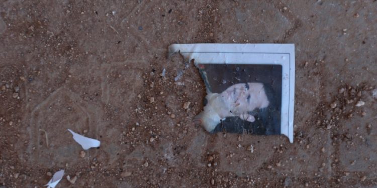 تفكيك عقدة الأسد أو نحرق البلد