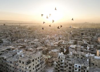 سورية الجديدة وفلسطين