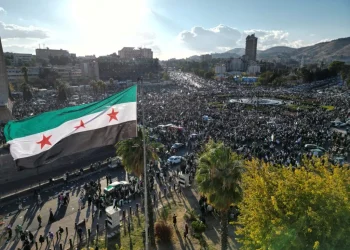  الشرعية الثورية والشرعية الدستورية